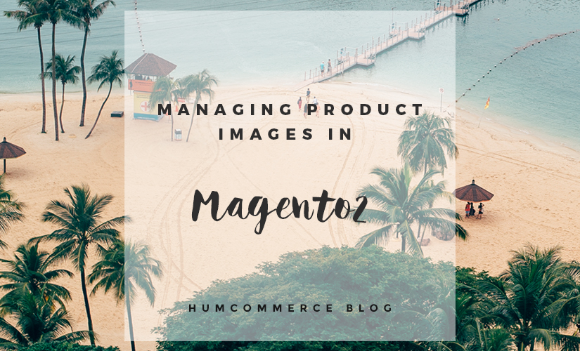 Feature Image - Managing product images in Magento 2